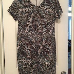 Dress. Renee’ Greenstein Women with Control QVC brand